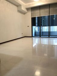 The Scotts Tower (D9), Condominium #377595611